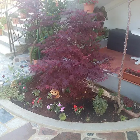 Апартаменты Gogo